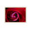 Miniaturbild: Red Rose Close-Up Poster with Wooden Frame | Floral Wall Art