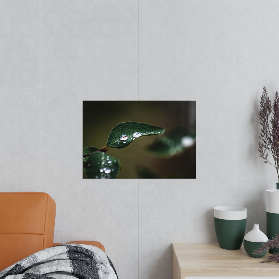 Miniaturbild: Photopaper Poster — Macro Raindrops on Green Leaf Wall Art