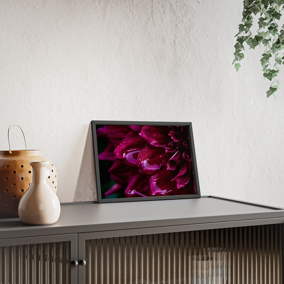 Miniaturbild: Deep Magenta Dahlia Poster frame | Poster