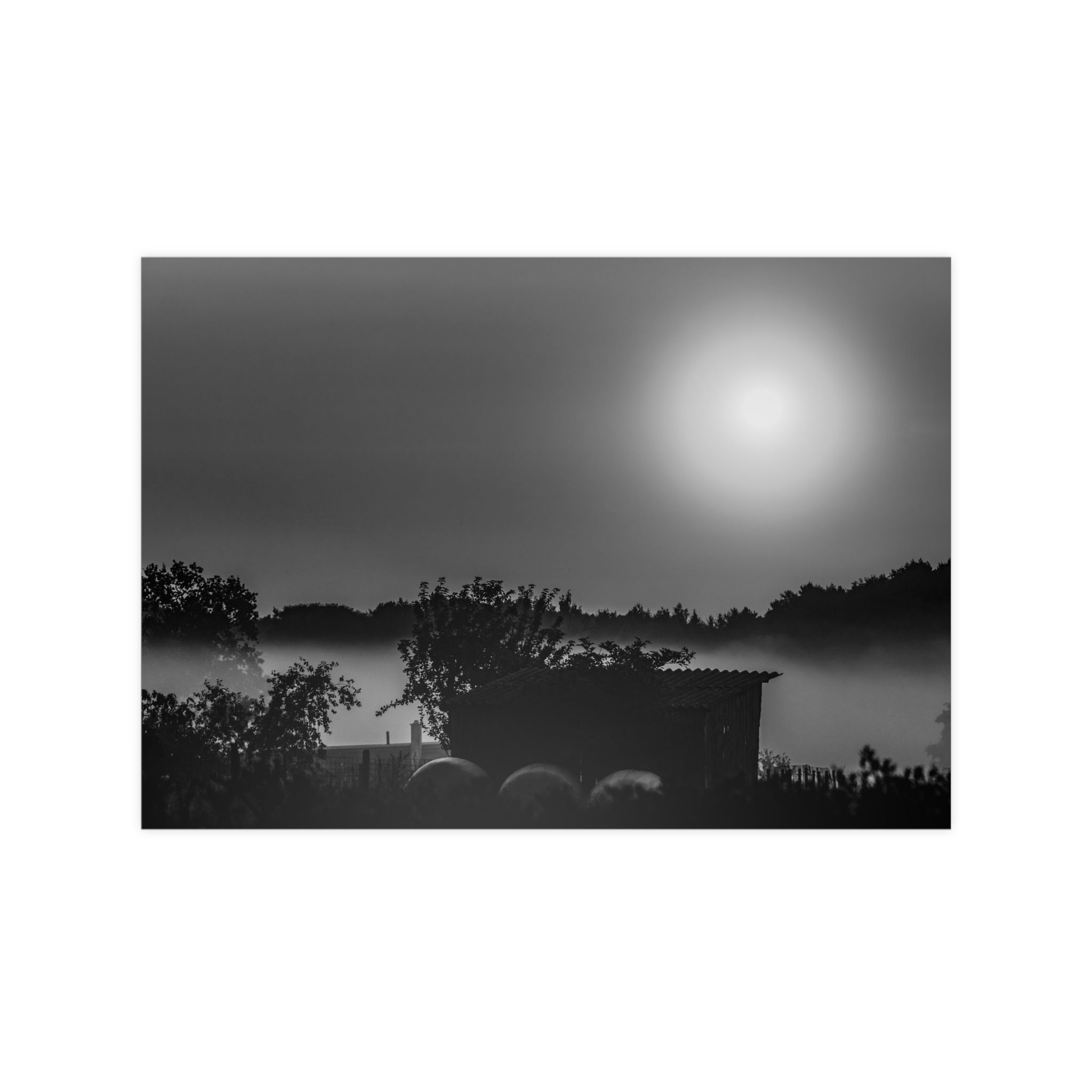 Photopaper Poster — Black & White Misty Sunrise Landscape