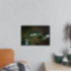 Miniaturbild: Photopaper Poster — Macro Raindrops on Green Leaf Wall Art