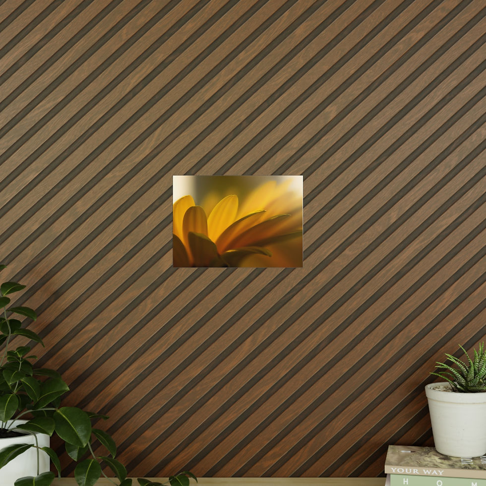 Miniaturbild: Photopaper Poster — Golden Daisy Close-Up Floral Wall Art