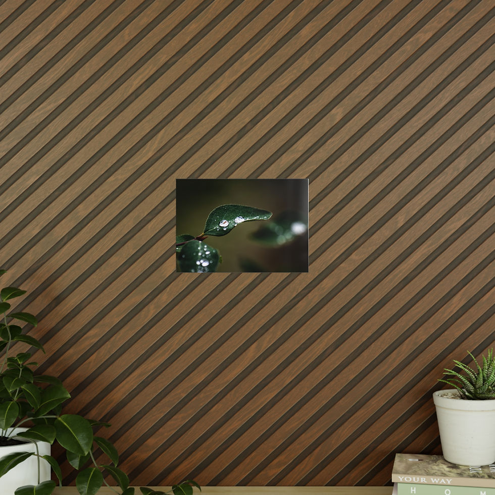 Miniaturbild: Photopaper Poster — Macro Raindrops on Green Leaf Wall Art