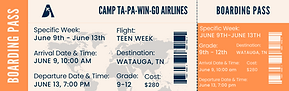 Teen-Boarding Pass Airlines Ticket-P1.png