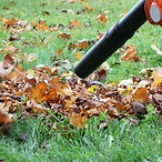 Herbstliche Laubbeseitigung von Wegen und Zufahrten durch MA Garten & Landschaftspflege