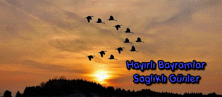 Hayırlı Bayramlar.gif