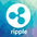 Ripple CEO'su çoğu kripto paraya karşı uyardı