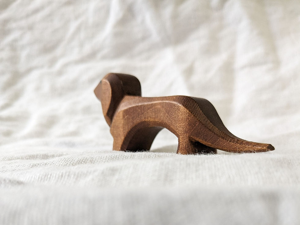 Thumbnail: Ostheimer Dachshund (retired)