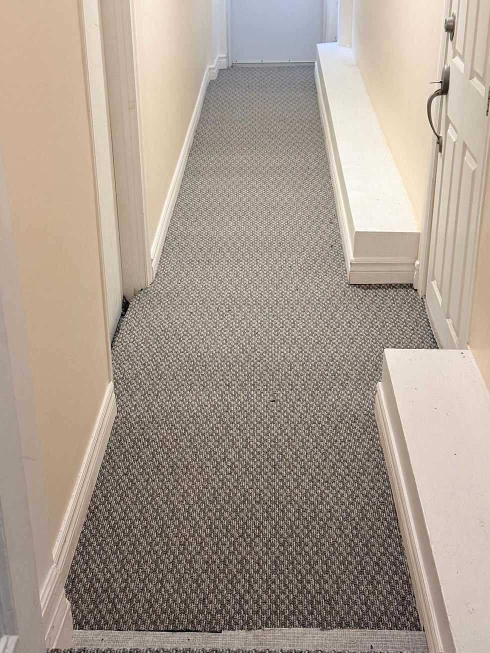image 3.jpg