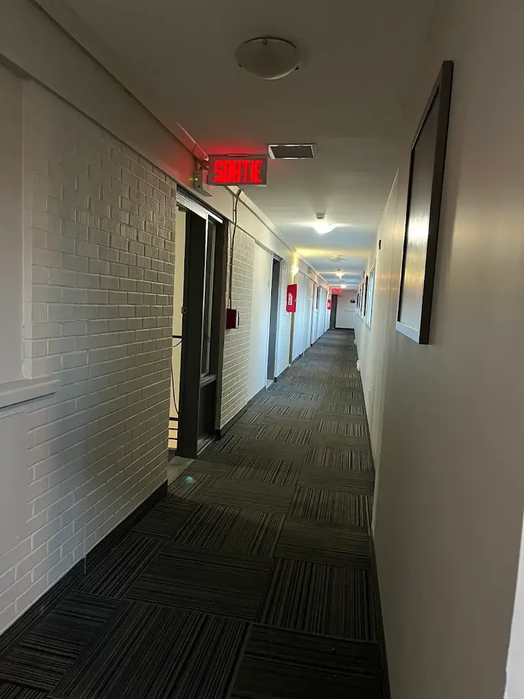 image 3.jpg