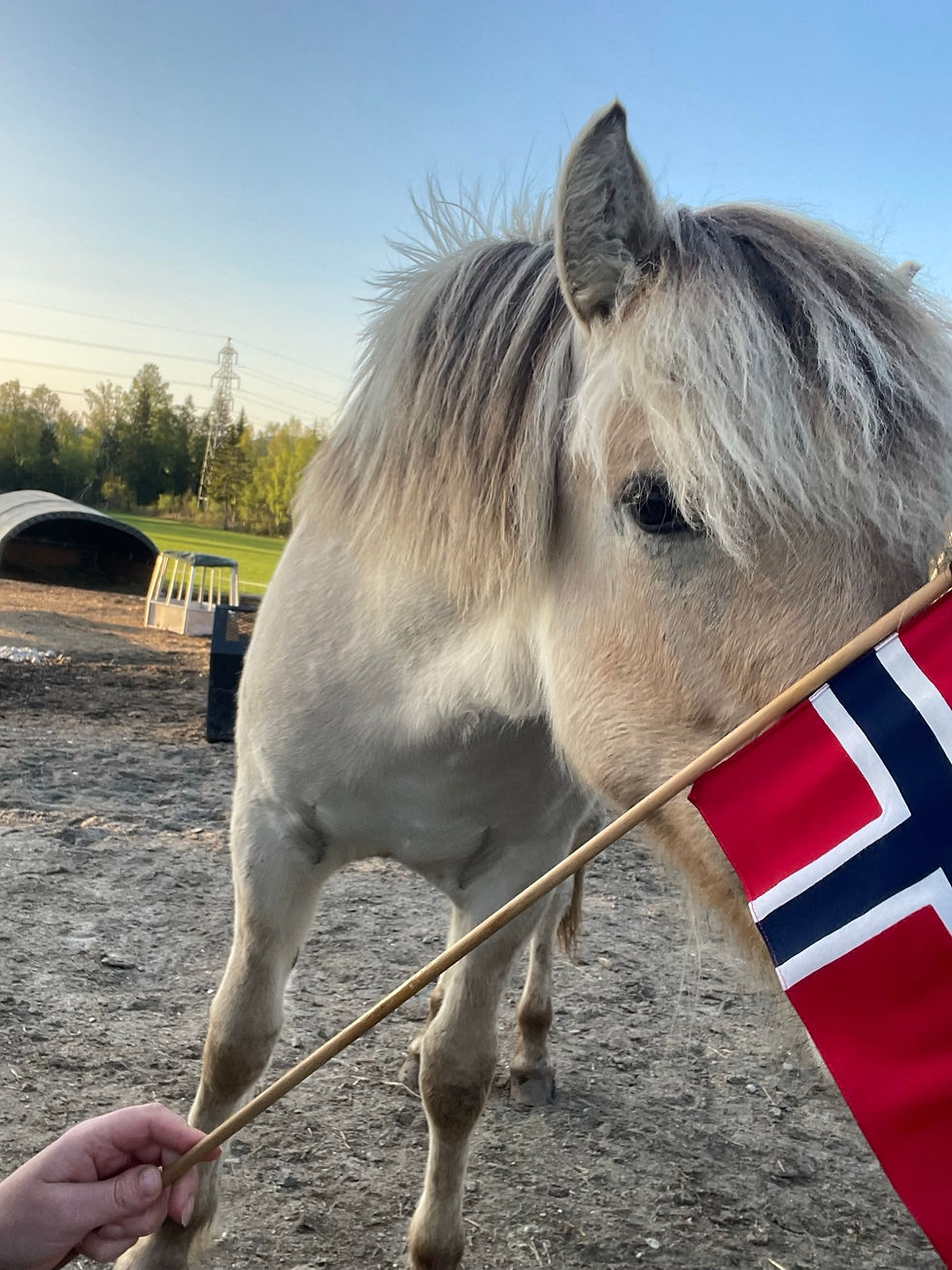 Frigga ser et flagg for første gang