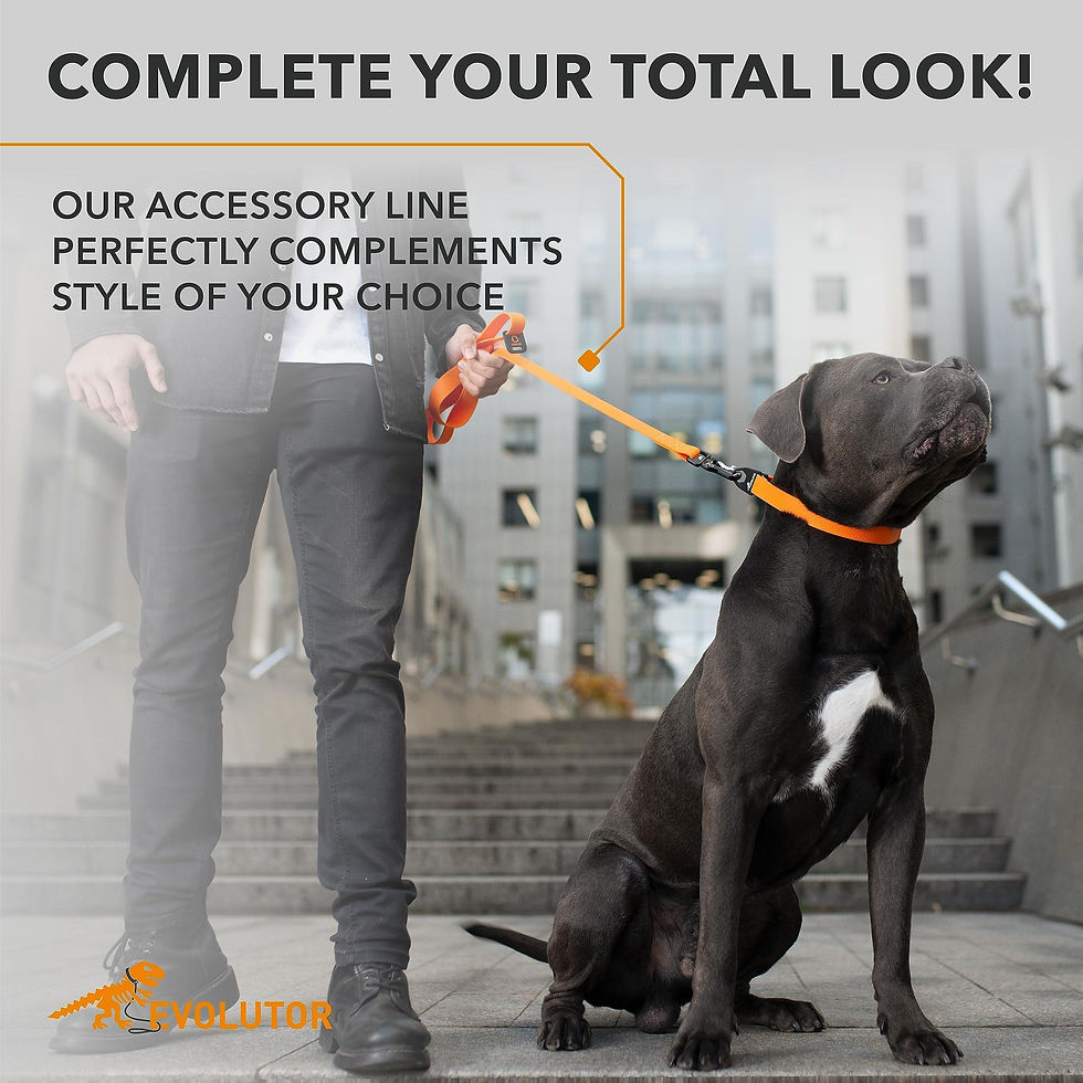 Miniatura: Orange Extra Heavy Duty Dog Leash 4 Ft x 1 in for Large Medium and Small Dogs