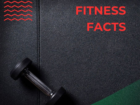 15 Fitness Facts to Remember this Holiday Season