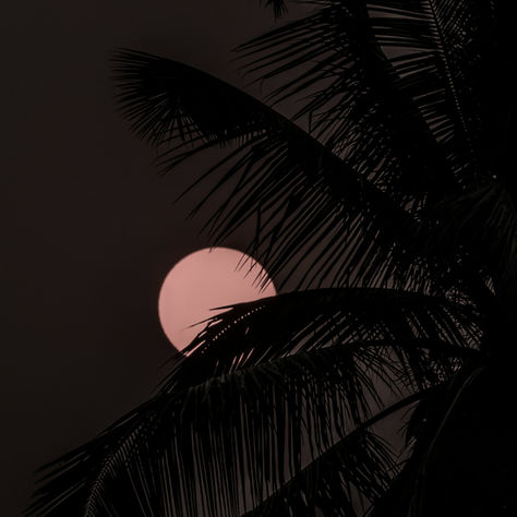 A long summer night with sleep deprivation and insomnia