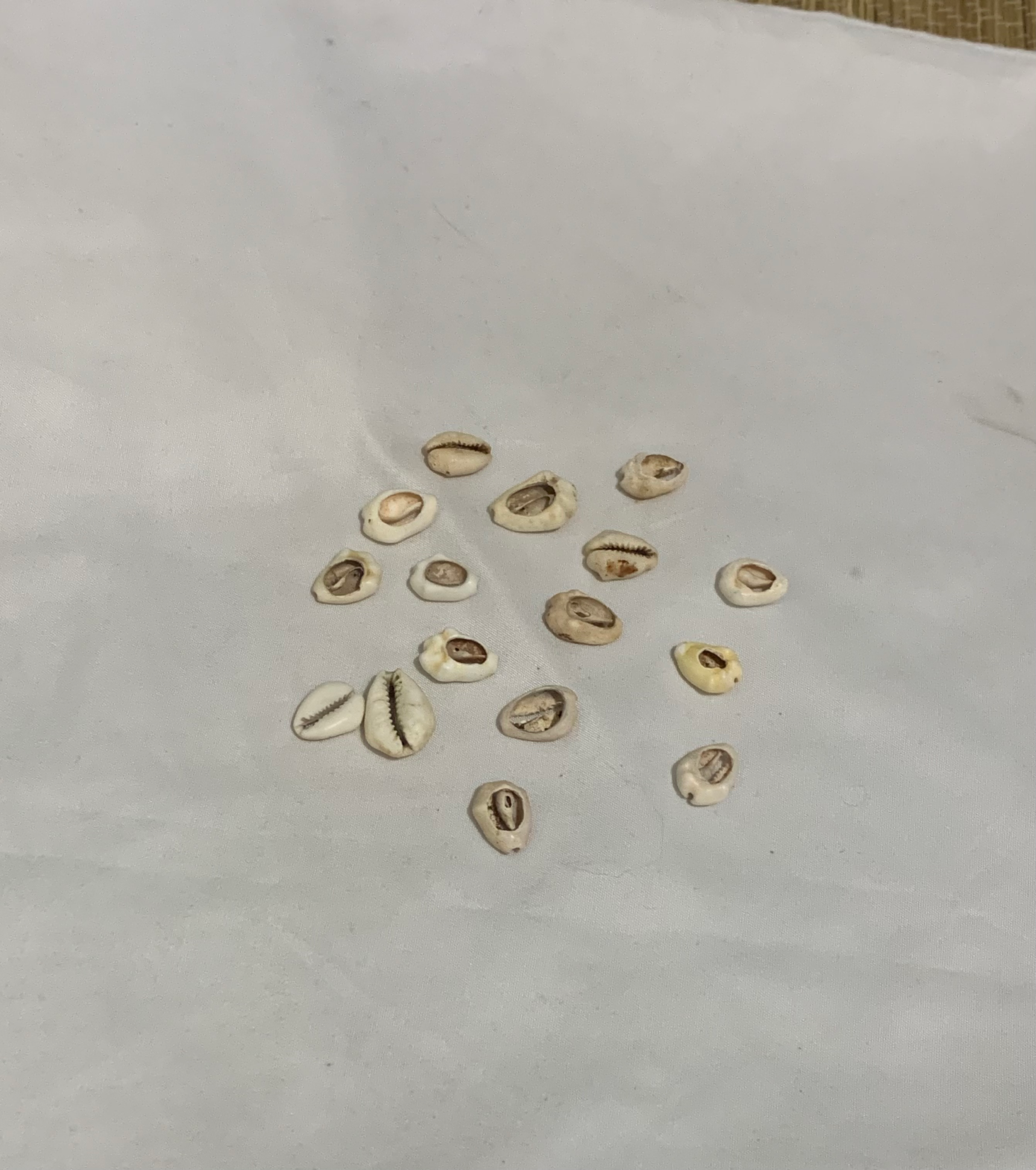 Eerindilogun Reading (Ebo included)