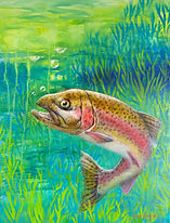 Rainbow Trout Rising (small).jpg