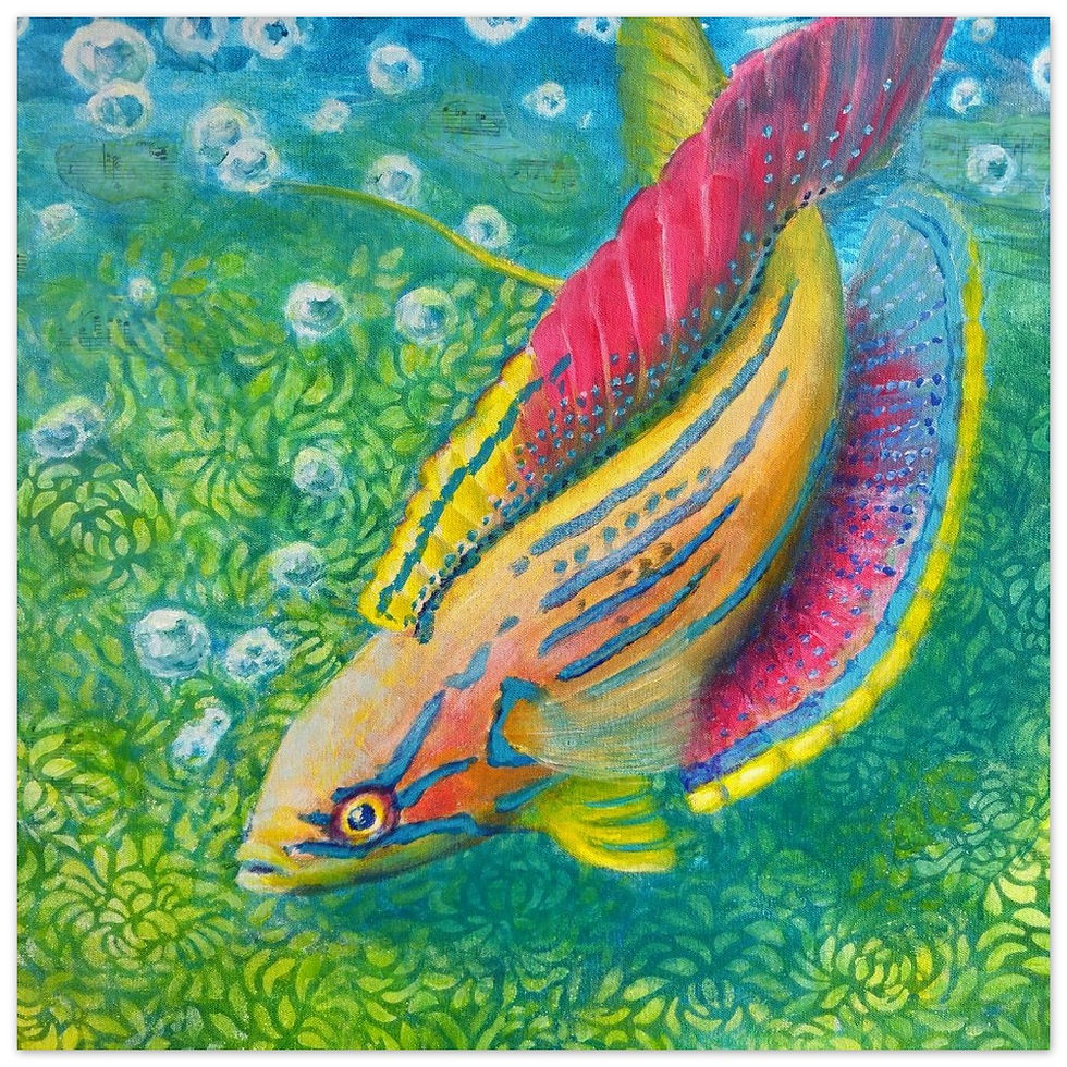 Thumbnail: "Flasher Wrasse Flow"   Museum-Quality Matte Paper Poster