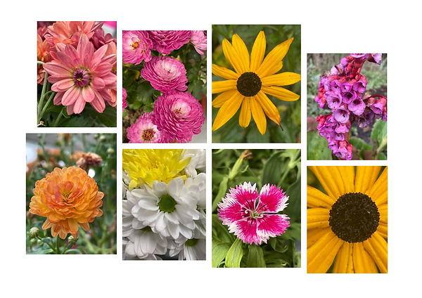 inspirtional pics.tif