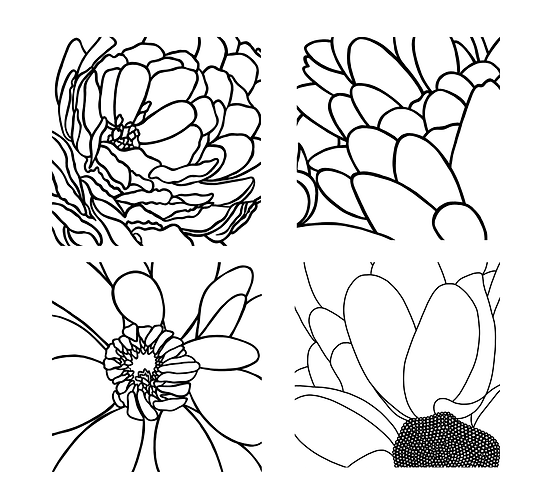 outline drawings.tif