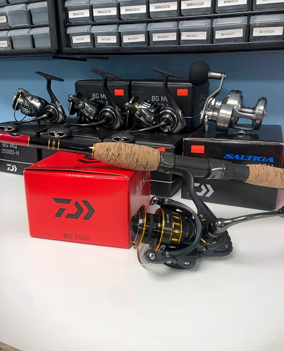Thumbnail: snap jig rod and daiwa reel