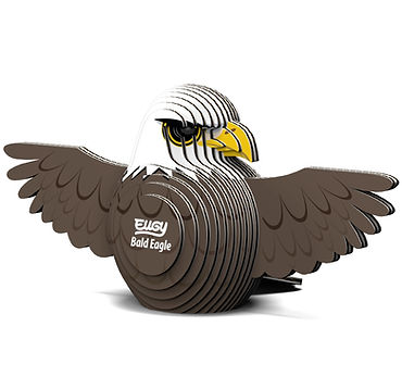022 Bald Eagle