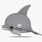 021 Dolphin