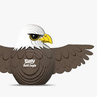 022 Bald Eagle