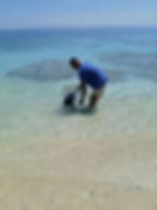 Wilson is so good to the animals. He took one of the dogs to the ocean for a bath.