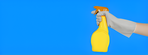 Eliana professional cleaning