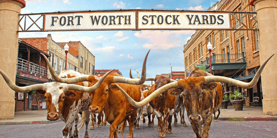 Stockyards.gif