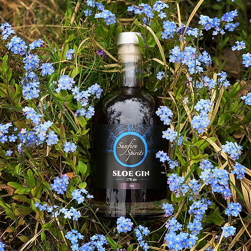 Sloe flowers.jpeg