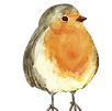 pajarito-1.png