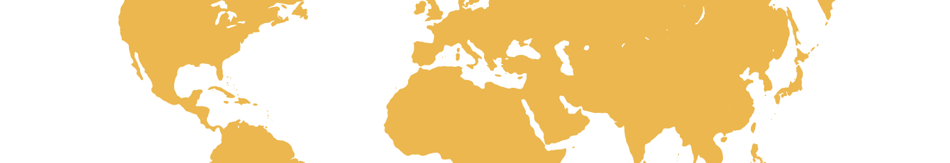 travel the world