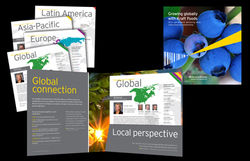 EY Kraft annual report