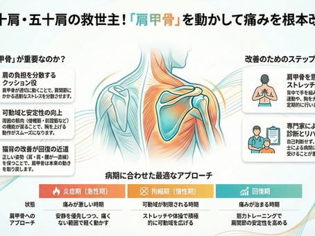 五十肩(肩関節周囲炎)の人は肩甲骨の動きが悪い?:関係性から考える改善策
