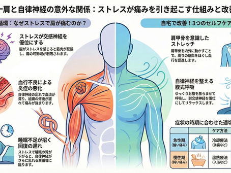 五十肩四十肩と更年期、自律神経・ストレスの関係性:原因からセルフケアまで