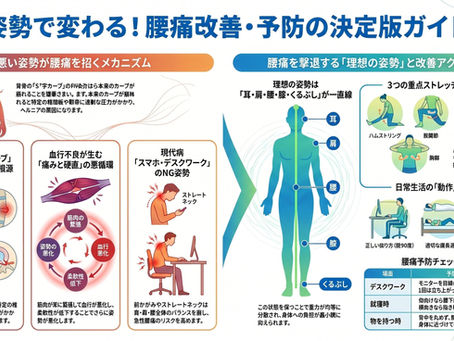 姿勢と腰痛の関係とは?原因、改善策、予防方法を徹底解説