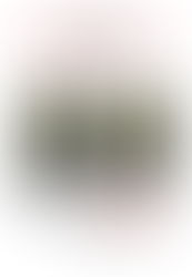 胸郭ストレッチ
