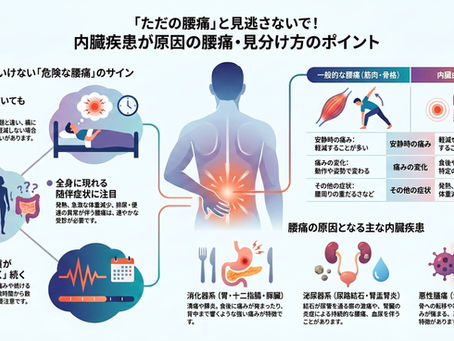 腰痛と内臓疾患:原因を特定し、根本からの改善を目指す