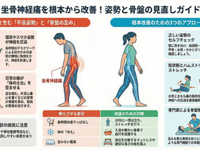 姿勢と骨盤の歪みは坐骨神経痛に関係あり?原因と対策を解説