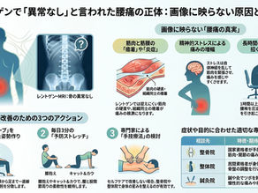 レントゲンやMRIで異常なしでも腰が痛い原因と対策