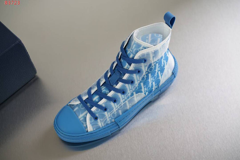 Men’s Dior shoes