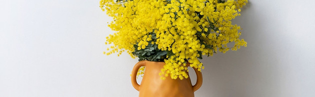 wattle in vase.jpg