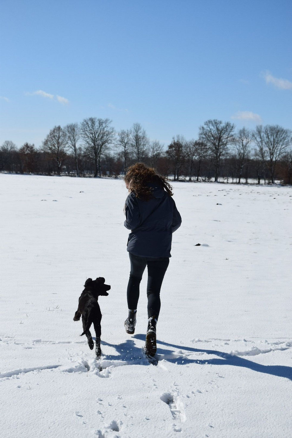 Tierheilpraktikerin Lisa Huth mit Hund auf einer Wiese - ganzheitliche Tierheilpraxis und natürliche Gesundheitsbegleitung für Hunde