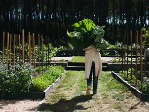 Natasha Morgan: Designer by Profession, Multi-Disciplinary Creative by Inclination.