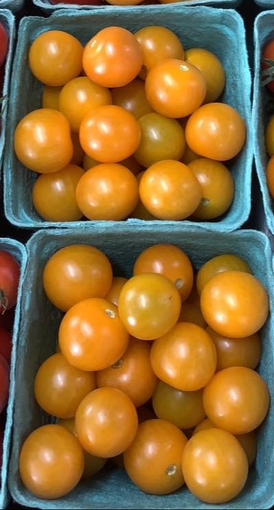 Tomates cerises oranges - 1 casseau