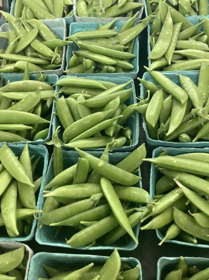 Pois sucrés (mange-tout) - petit casseau