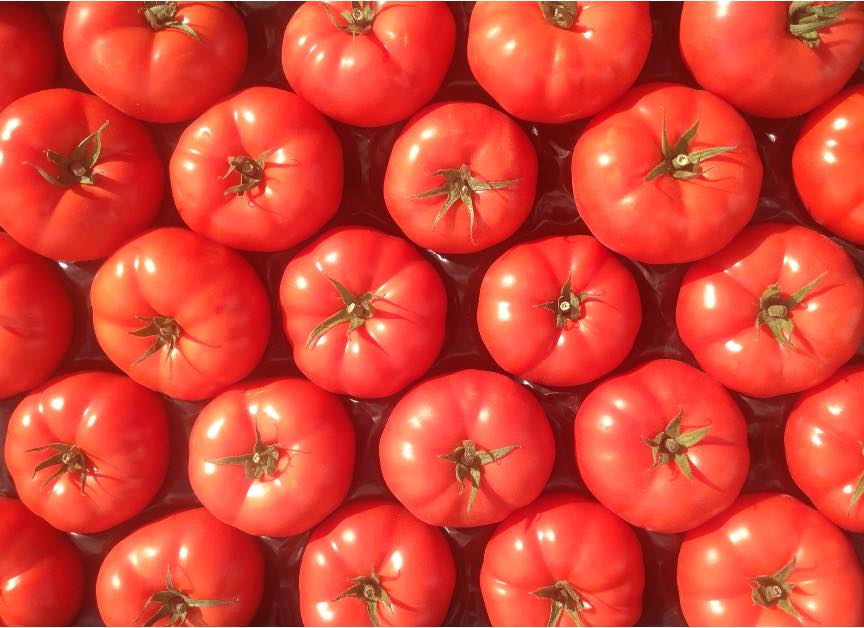 Tomates rouges bio - 1lb (2-3 tomates)