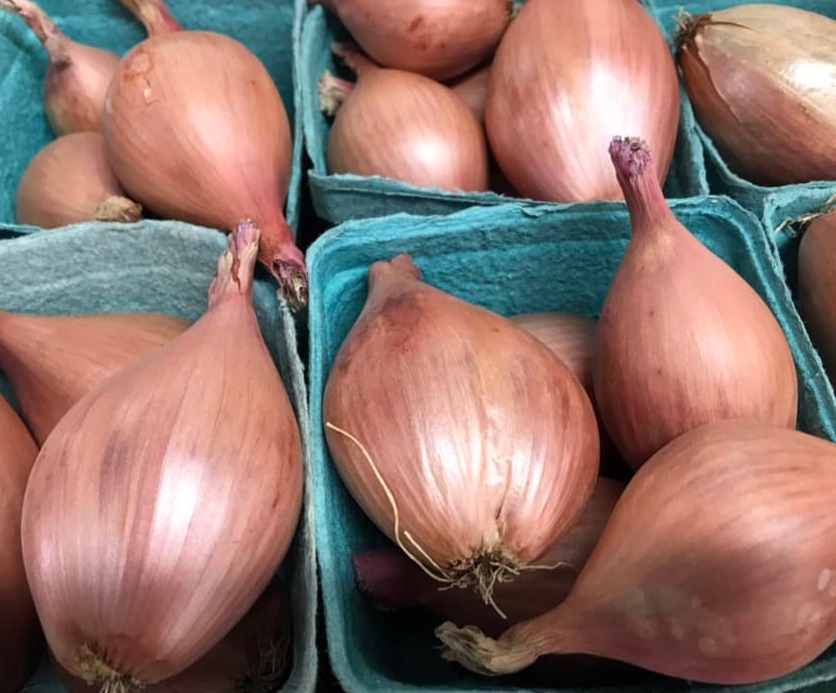 Échalotes françaises - 0.5lb