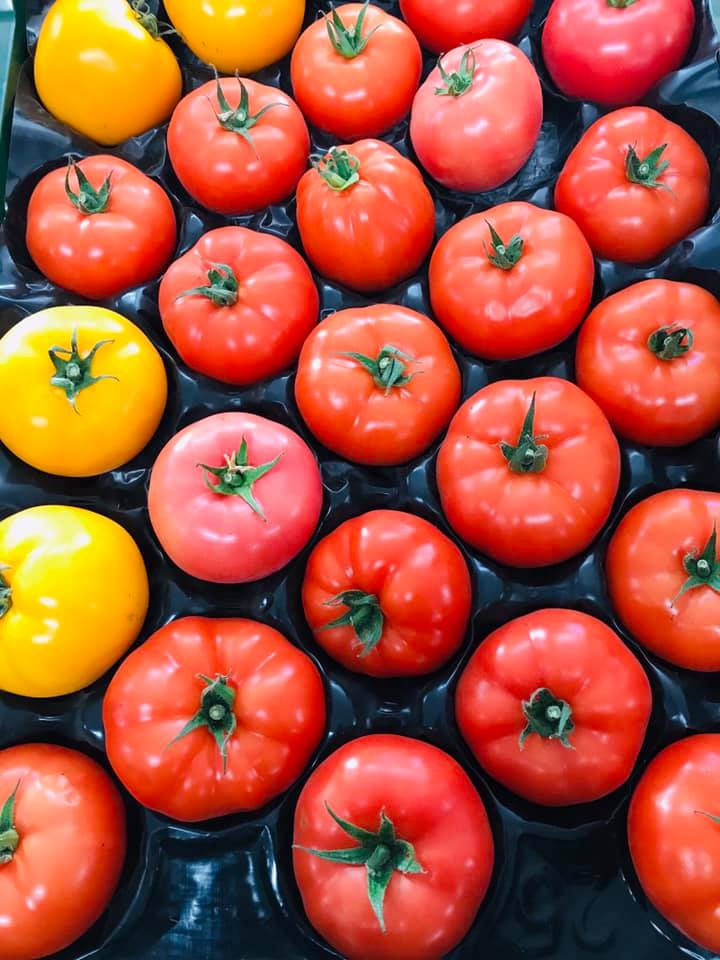 Tomates À RABAIS - 10lbs (couleurs mélangées)